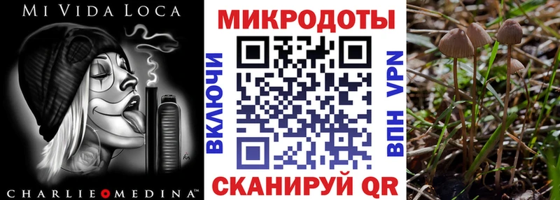 Галлюциногенные грибы Cubensis Усть-Лабинск